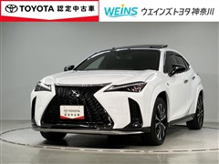 UX250hFスポエモエクスプローラ