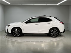 UX250hFスポエモエクスプローラ