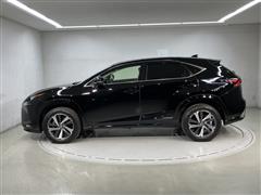 NX300h I-PKG 4WD