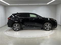 NX300h I-PKG 4WD