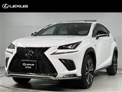 NX300h F-SPO