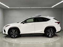 NX300h F-SPO