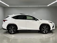 NX300h F-SPO