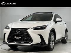NX250 VER-L