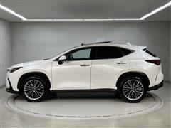 NX250 VER-L