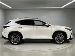 NX250 VER-L