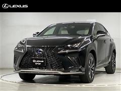 NX300h F-SPO