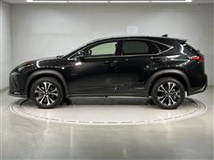 NX300h F-SPO