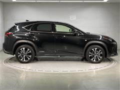 NX300h F-SPO