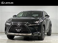 NX300 VER-L AWD