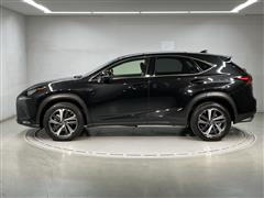 NX300 VER-L AWD