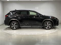 NX300 VER-L AWD