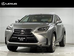 NX200t VER-L