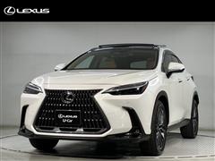 NX250 VER-L