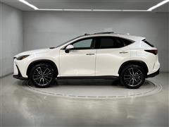 NX250 VER-L