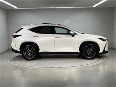 NX250 VER-L