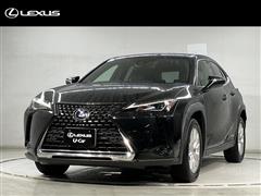 UX250h ヒョウジュンシャ