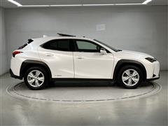 UX250h VER-C
