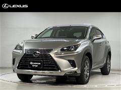 NX300 ベースグレード