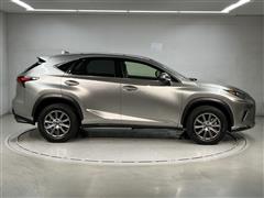 NX300 ベースグレード