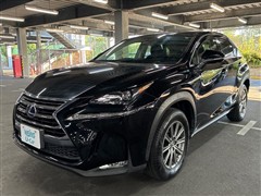 NX300h ベースグレード