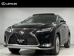 RX300 VER-L 4WD