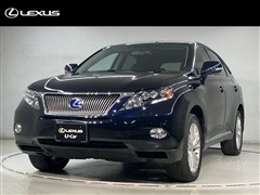 RX450h ヒョウジュンシャ