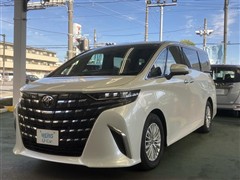 アルファードXサイドリフトアップ