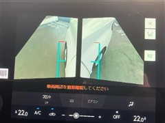 アルファードXサイドリフトアップ