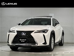 UX250h ヒョウジュンシャ 4WD