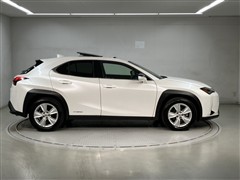 UX250h ヒョウジュンシャ 4WD