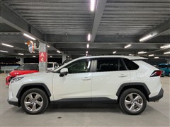 RAV4 X 2WD