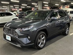 RAV4 G