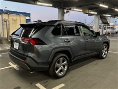 RAV4 G