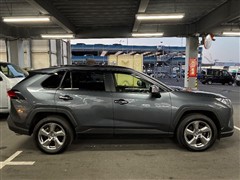 RAV4 G