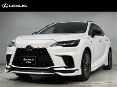 RX500h F-SPOパフォーマンス