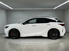 RX500h F-SPOパフォーマンス