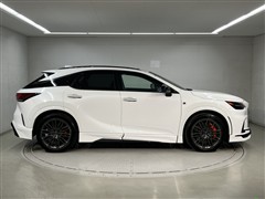 RX500h F-SPOパフォーマンス