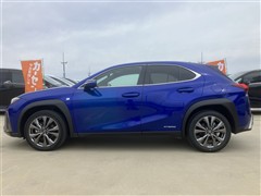 UX250h Fスポーツ