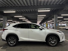 NX300 バージョンL