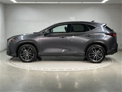 NX250 バージョンL