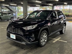 RAV4 G Zパッケージ