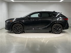 RX500hFスポーツパフォーマンス