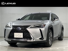 UX300e バージョンC