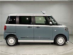 ムーヴキャンバスストライプスG-T