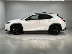 UX250h アーバンエレガンス