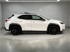 UX250h アーバンエレガンス