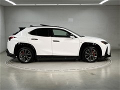 UX300h Fスポーツ AWD