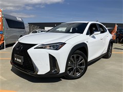 UX250h Fスポーツ