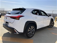 UX250h Fスポーツ